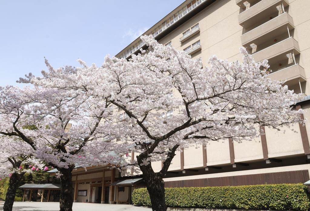 Suimeikan Gero Buitenkant foto Sakura trees in full bloom